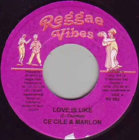 Focus Riddim – Reggae Vibes Records focus riddim - reggae vibes records