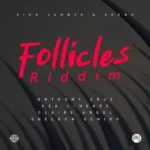 Follicles Riddim King – Jammys Digital Productions