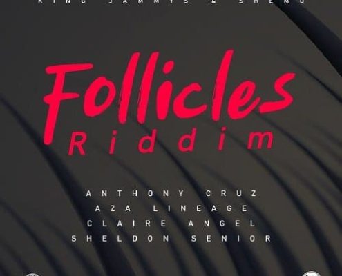 Follicles Riddim