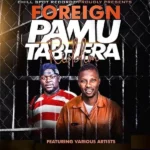 Foreign Pamutabhera Riddim – Chillspot Records