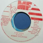 Forever Loving Jah Riddim (1996) – Mafia And Fluxy
