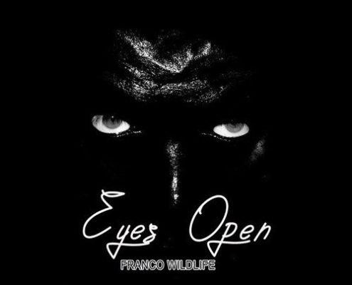 Franco Wildlife Eyes Open