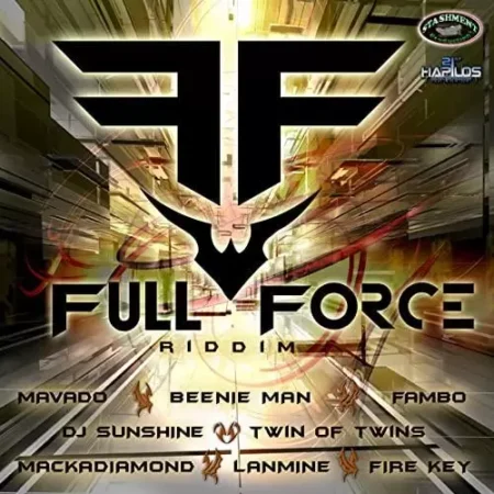 full force riddim - stashment records
