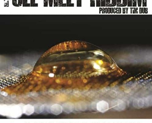 Full Melt Riddim Tim Dub