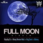 Full Moon Riddim (2018) – Gyallis Nation Entertainment