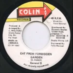 G String Riddim – Colin Fat Records