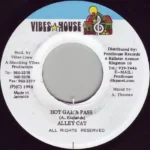 Gal A Wasp Riddim – Vibes House