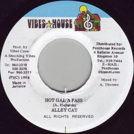 gal a wasp riddim - vibes house