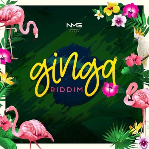 ginga riddim - nmg music