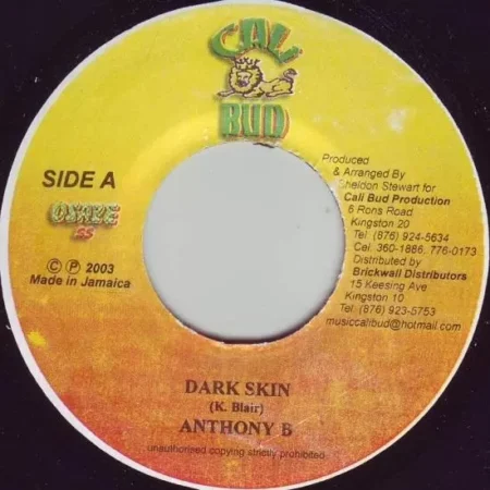 girl a love you riddim - calibud production