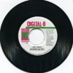 Grab Yuh Lass Riddim / You Dont Care Riddim (2000) – Digital B