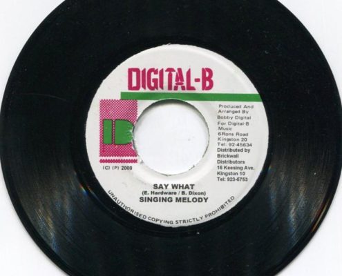 Grab Yuh Lass Riddim You Dont Care