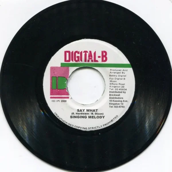 Grab Yuh Lass Riddim / You Dont Care Riddim – Digital B grab yuh lass riddim / you dont care riddim - digital b
