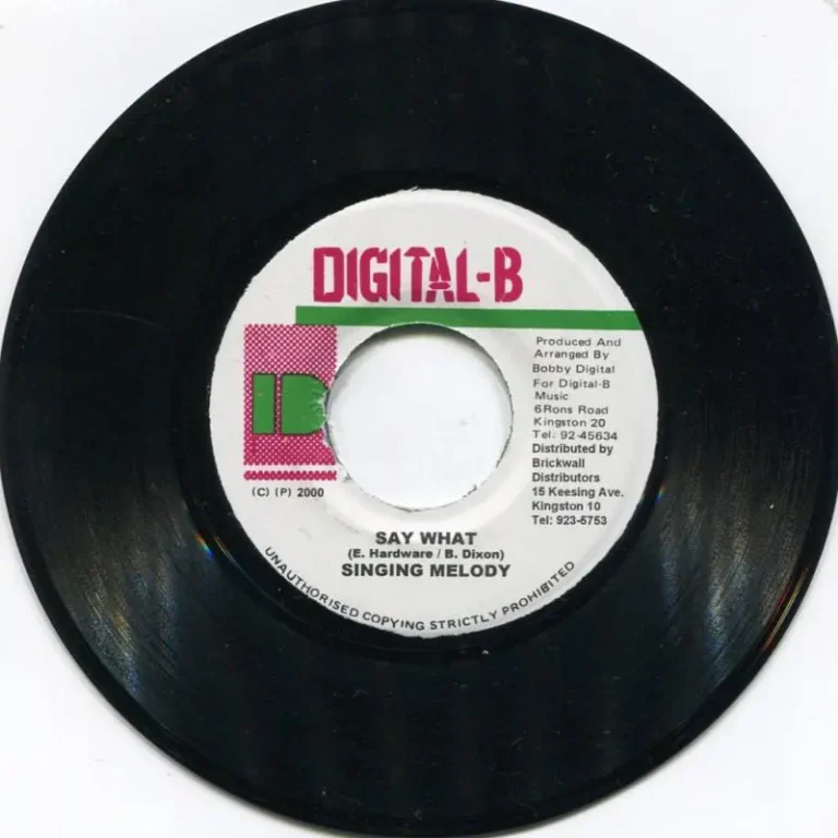 Grab Yuh Lass Riddim / You Dont Care Riddim – Digital B grab yuh lass riddim / you dont care riddim - digital b