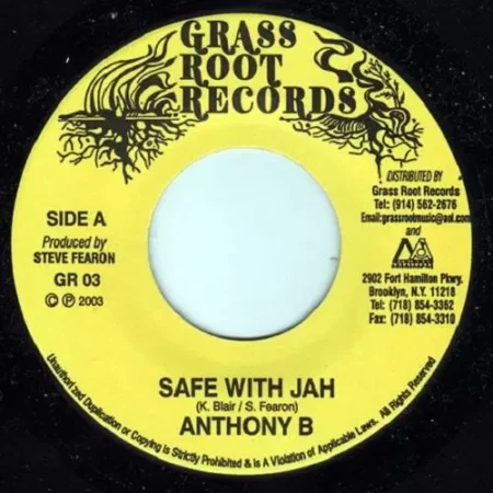 Grass Roots Meddz Riddim – Grass Root Records grass roots meddz riddim - grass root records