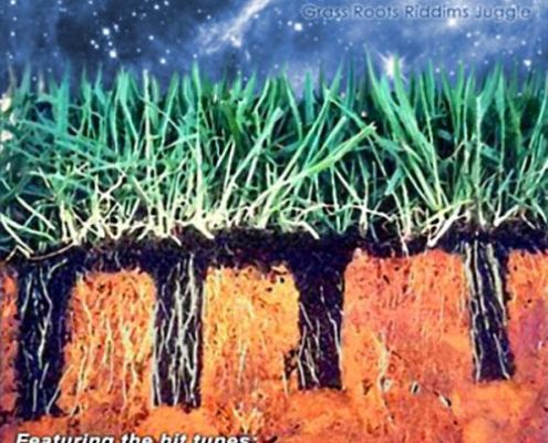 Grass Roots Riddim