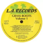 Grass Roots Volume 1 – L.a Records