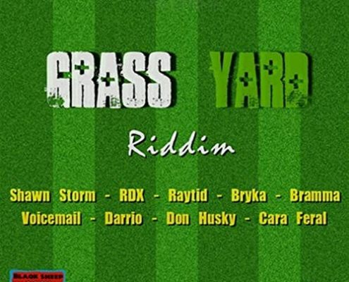 Grass Yard Riddim