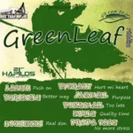Green Leaf Riddim (2012) – Rat Trap Music / Green Leaf Production
