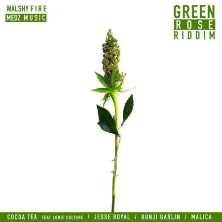 Green Rose Riddim – Walshy Fire green-rose-riddim-