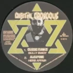 Gully Zone Riddim – Digital Conscious