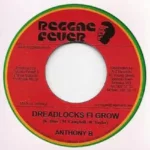 H.I.M. Riddim – Reggae Fever