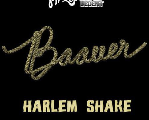 Harlem Shake Riddim