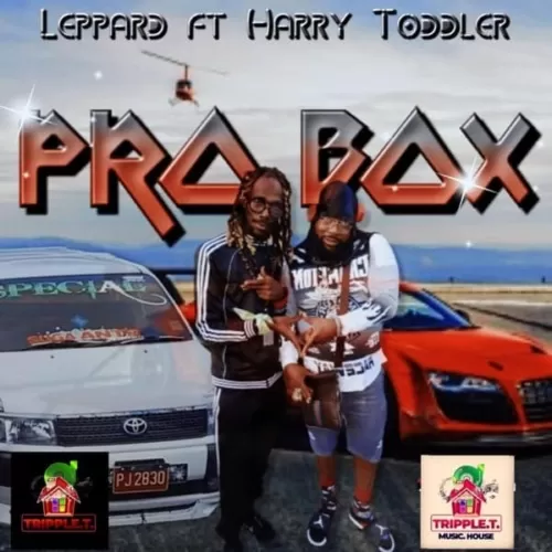 harry toddler ft. leopard - pro box