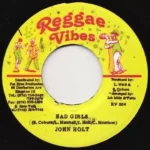 Have You Ever Riddim (1998) – Reggae Vibes