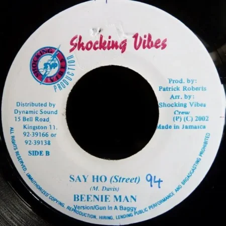 Healthy Body Riddim – Shocking Vibes healthy body riddim - shocking vibes