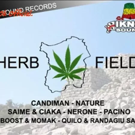 herb field riddim - ikno sound records