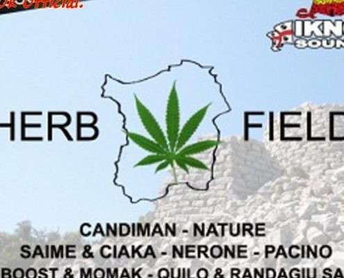 Herb Field Riddim