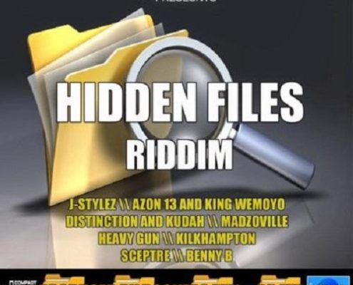 Hidden Files Riddim