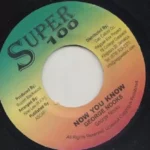 Hit Riddim – Super 100 Productions