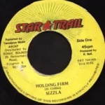 Holding Firm Riddim (1997) – Star Trail