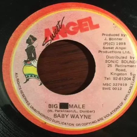 hot romance riddim - sweet angel