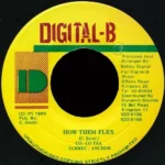 How Them Flex Riddim – Digital-B