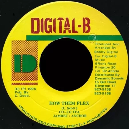 How Them Flex Riddim – Digital-B how them flex riddim - digital-b