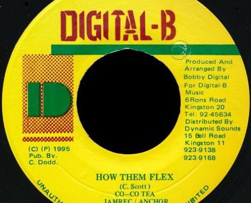 How Them Flex Riddim 1