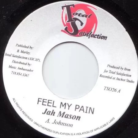 Hurting Inside Riddim – Total Satisfaction Records hurting inside riddim - total satisfaction records