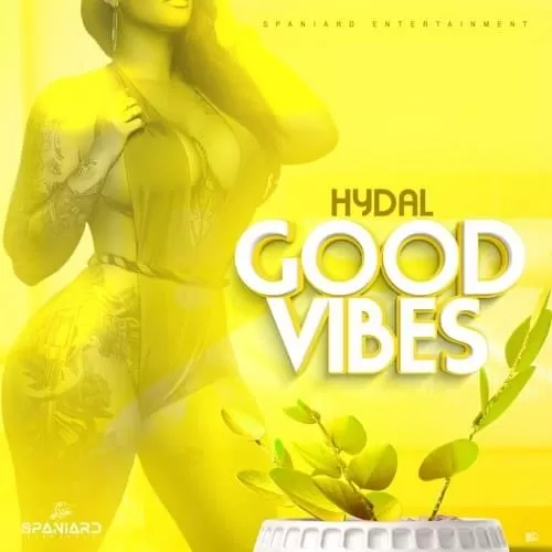 hydal - good vibes