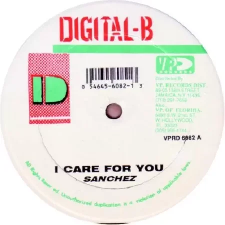 i am not a king riddim - digital-b/brickwall