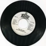 I Can See Clearly Now Riddim – Roof International