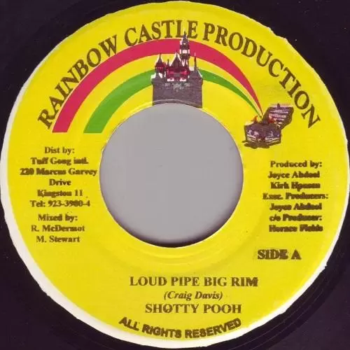 ice and fire riddim - rainbow castle production
