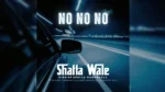 Shatta Wale – No No No