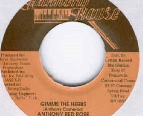 In This Jungle Riddim