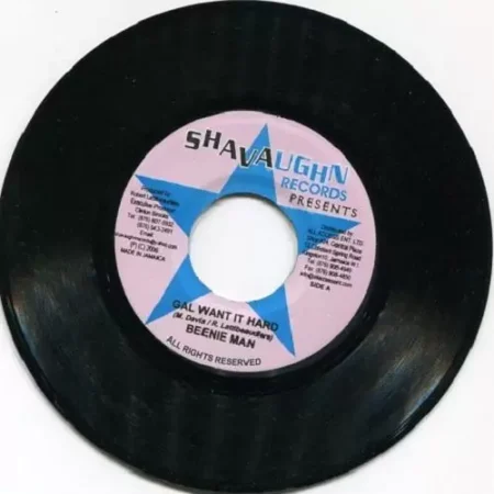 Inferno Riddim – Shavaughn Records inferno riddim - shavaughn records