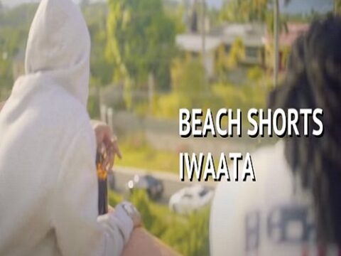 Iwaata Beach Shorts