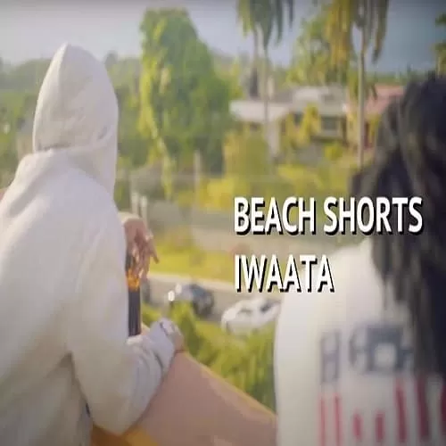 iwaata - beach shorts