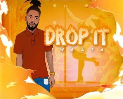 iwaata-drop-it